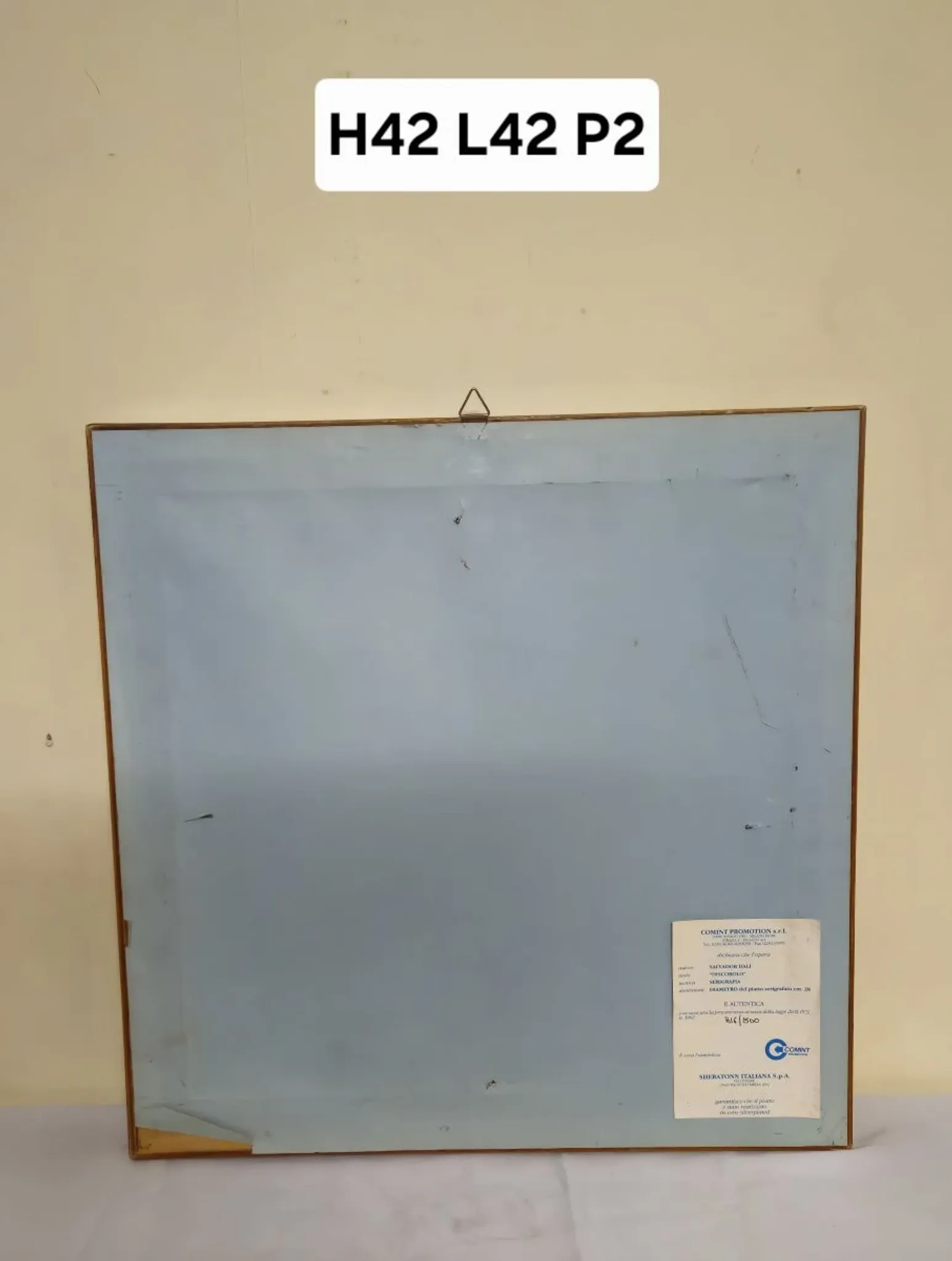 Silver-plated plate – Screen printing – Numbered edition 816/1500