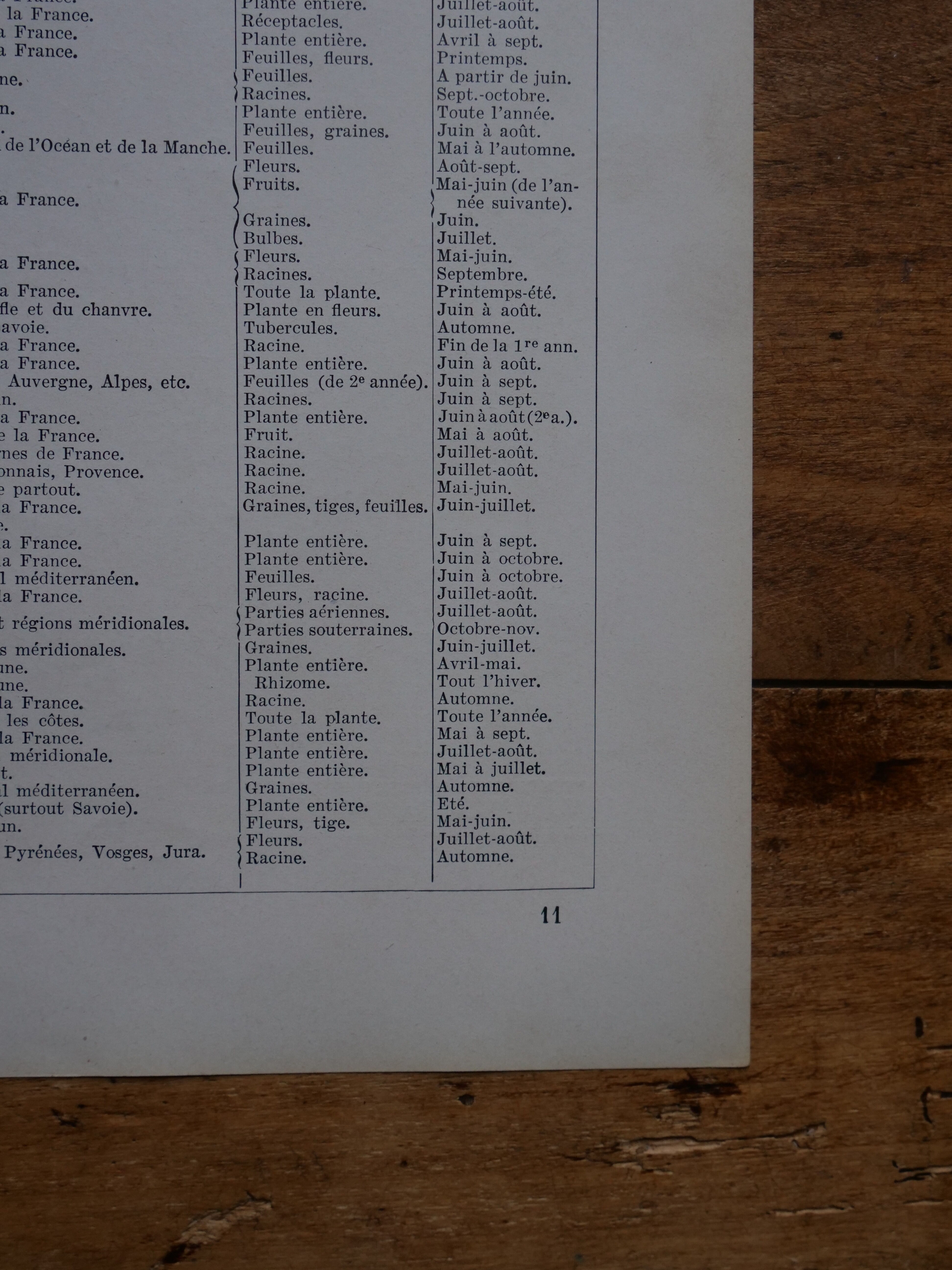 Original lithographs on medicinal plants