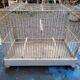 Old iron birdcage