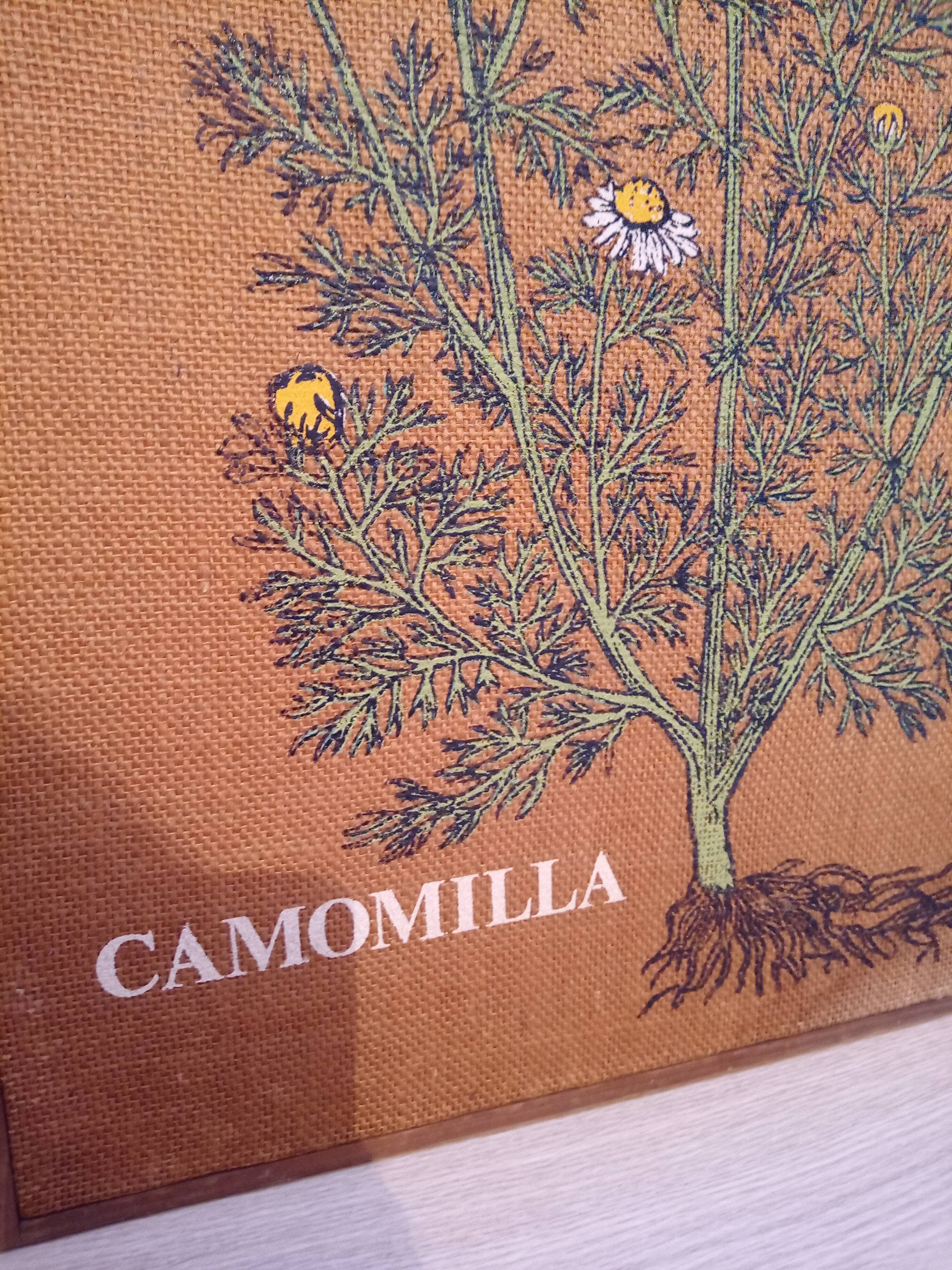 Oil on flaxseed canvas on chamomile wood