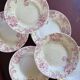 Service de 8 assiettes creuses saint Amand