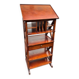 Bibus furniture with an adjustable shelf – vintage library furniture