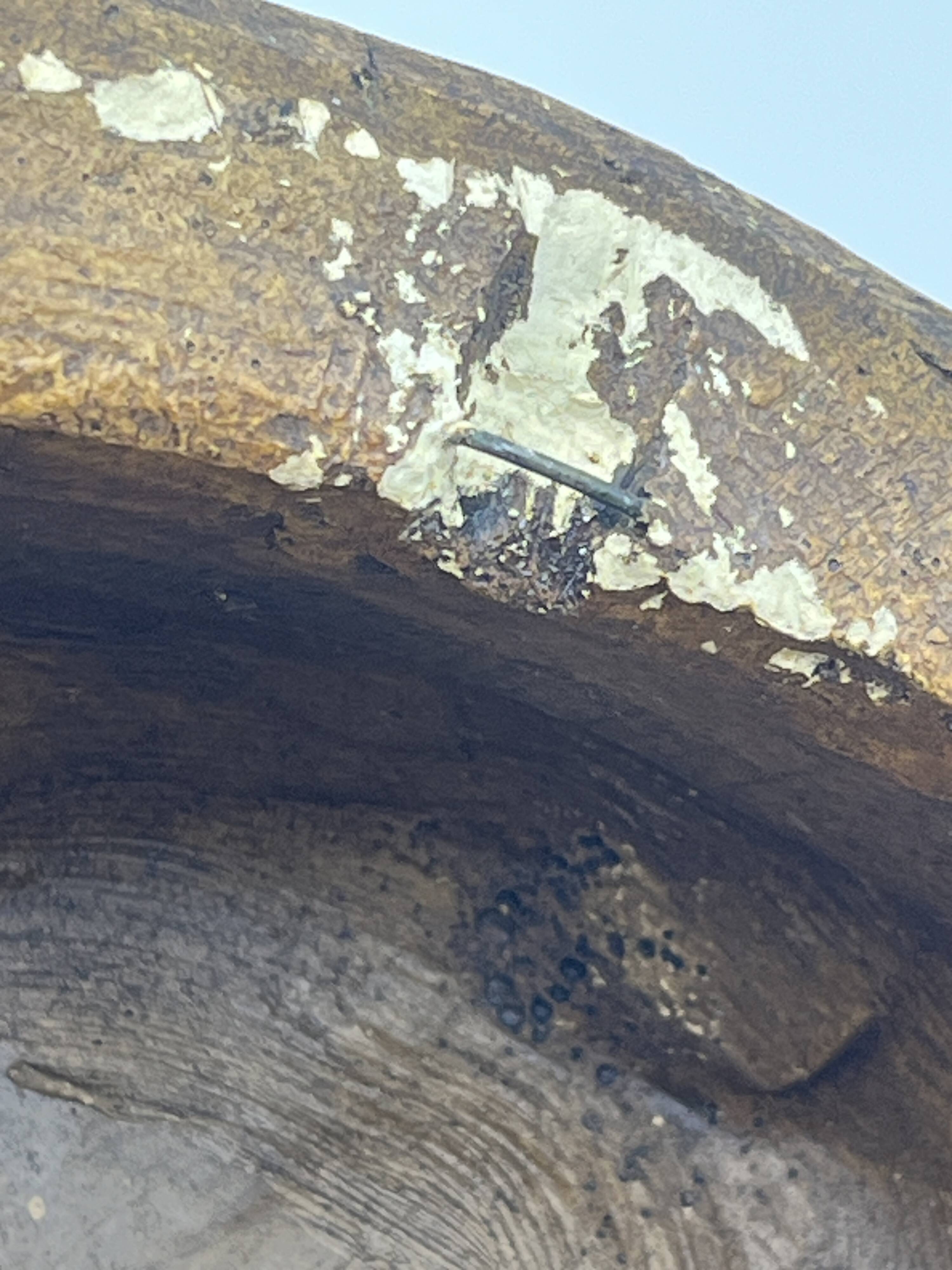 High-Relief Gilded Plaster The Inspired – After Raoul Larche