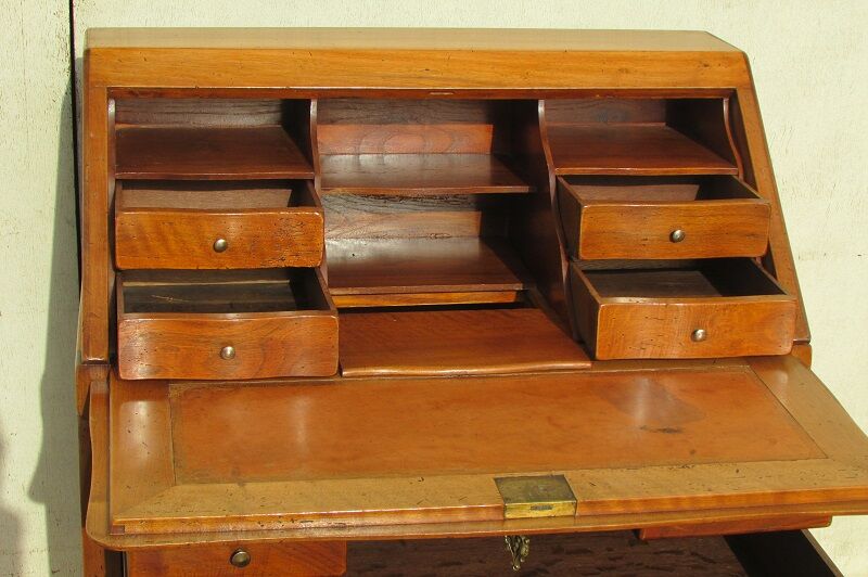 Large desk donkey back in cherry tree