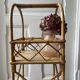 Vintage rattan bar or bottle holder