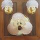 Rare set of wall sconces and shell ceiling light.