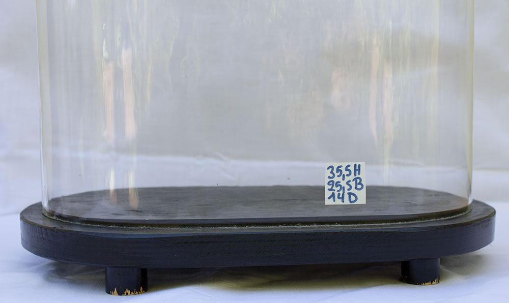 Old oval glass globe 35.5 cm high black foot