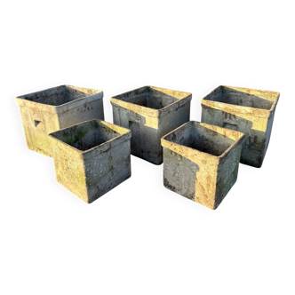 Set of 5 square planters Willy Guhl