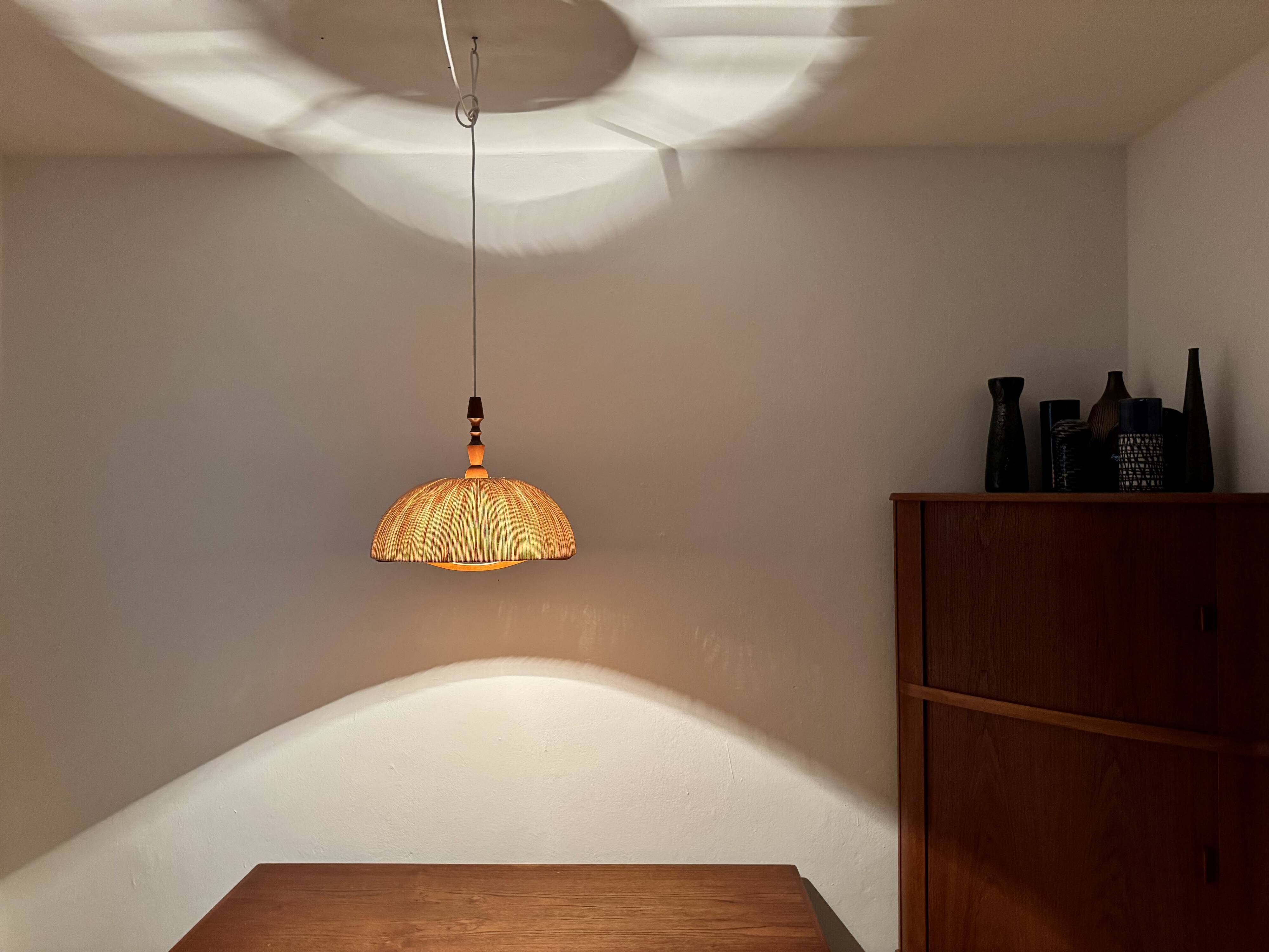 Teakwood and Raffia Bast Pendant Lamp by Temde