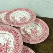 Set of 6 vintage English deep plates – Jardinière model