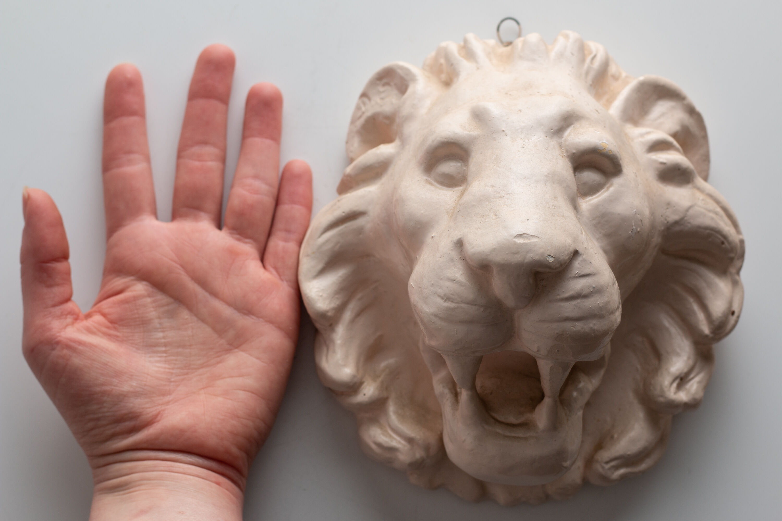 Lion's head in painted plaster