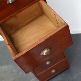 Dutch Industrial Mahogany Apothecary Cabinet, Mid-20th Century
