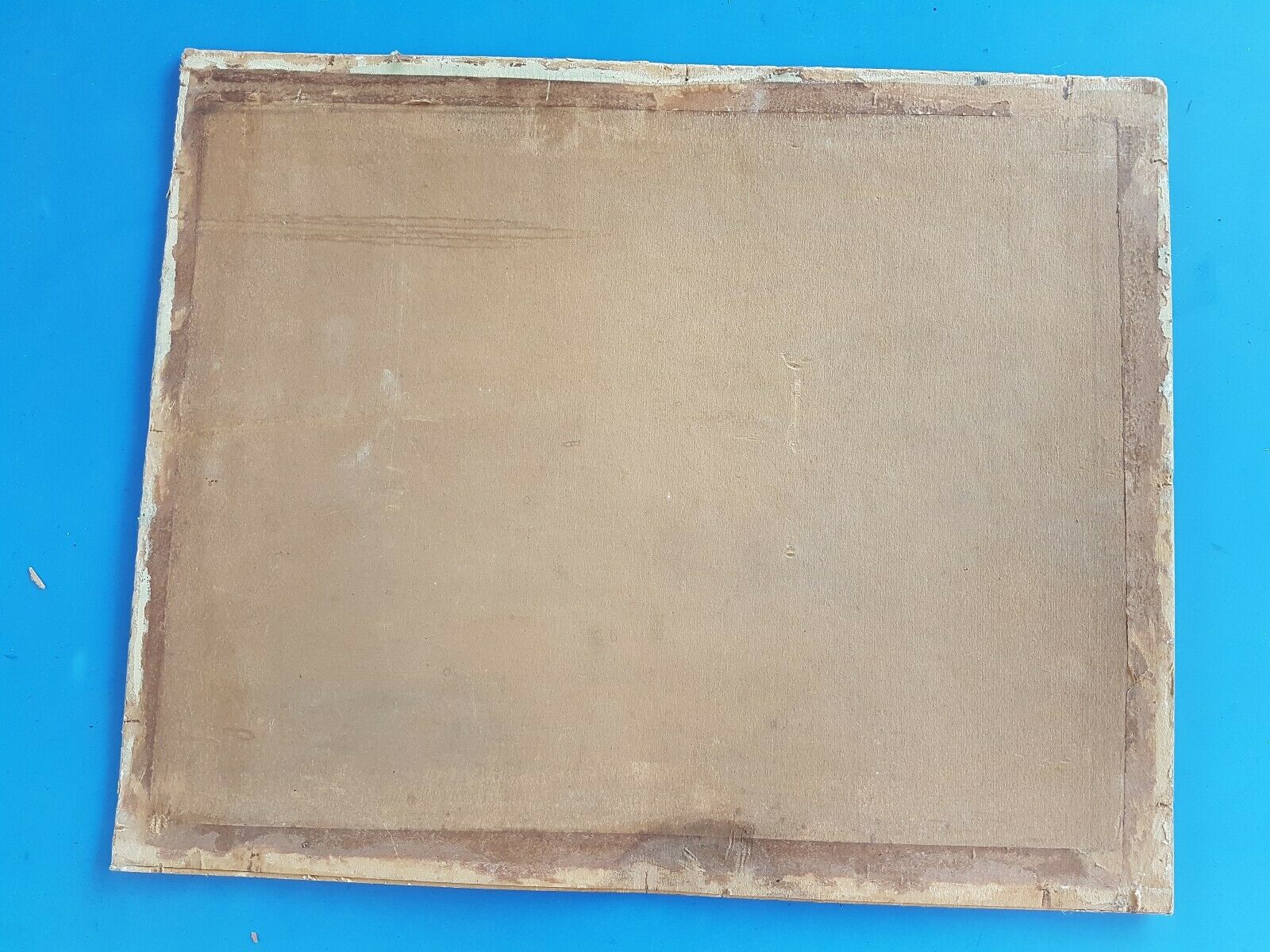 Oil on cardboard Still life