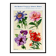 Poster featuring passionflower, peony, petunia and phlox