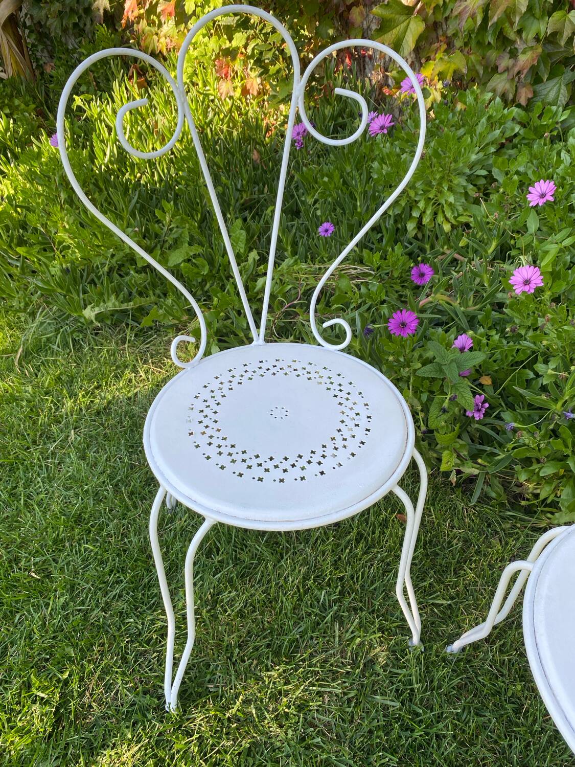Paire de chaises de jardin anciennes en fer forgé ouvragé