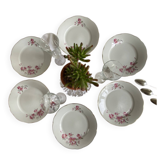 Set of 6 dessert plates, antique porcelain, Royal Tognana, Italy.