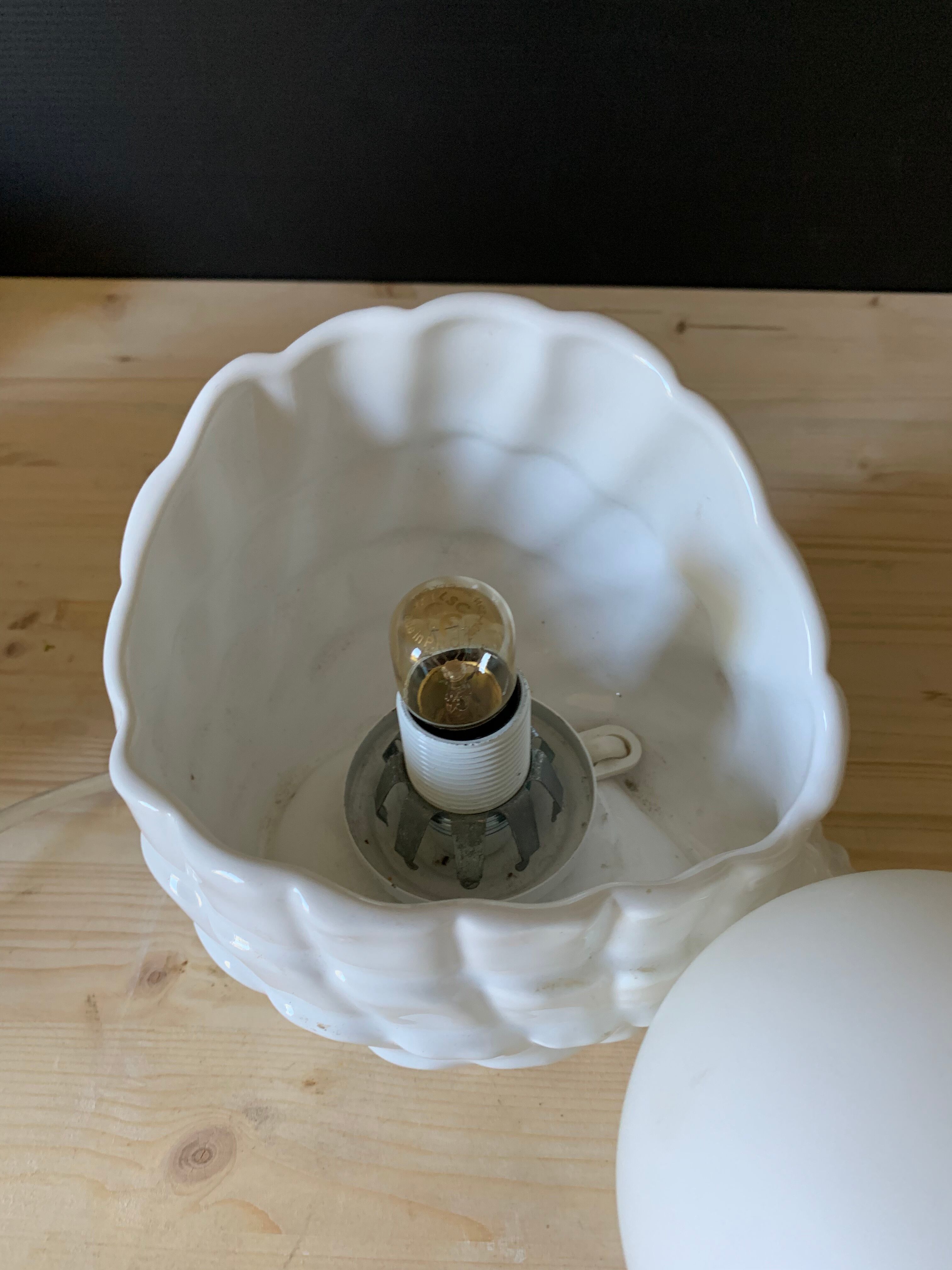 Shell lamp