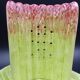 Asparagus dish in bubble
