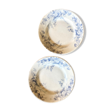 Pair of terre de fer dessert plates