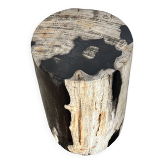 Small black and white petrified wood side table H28cm D:18