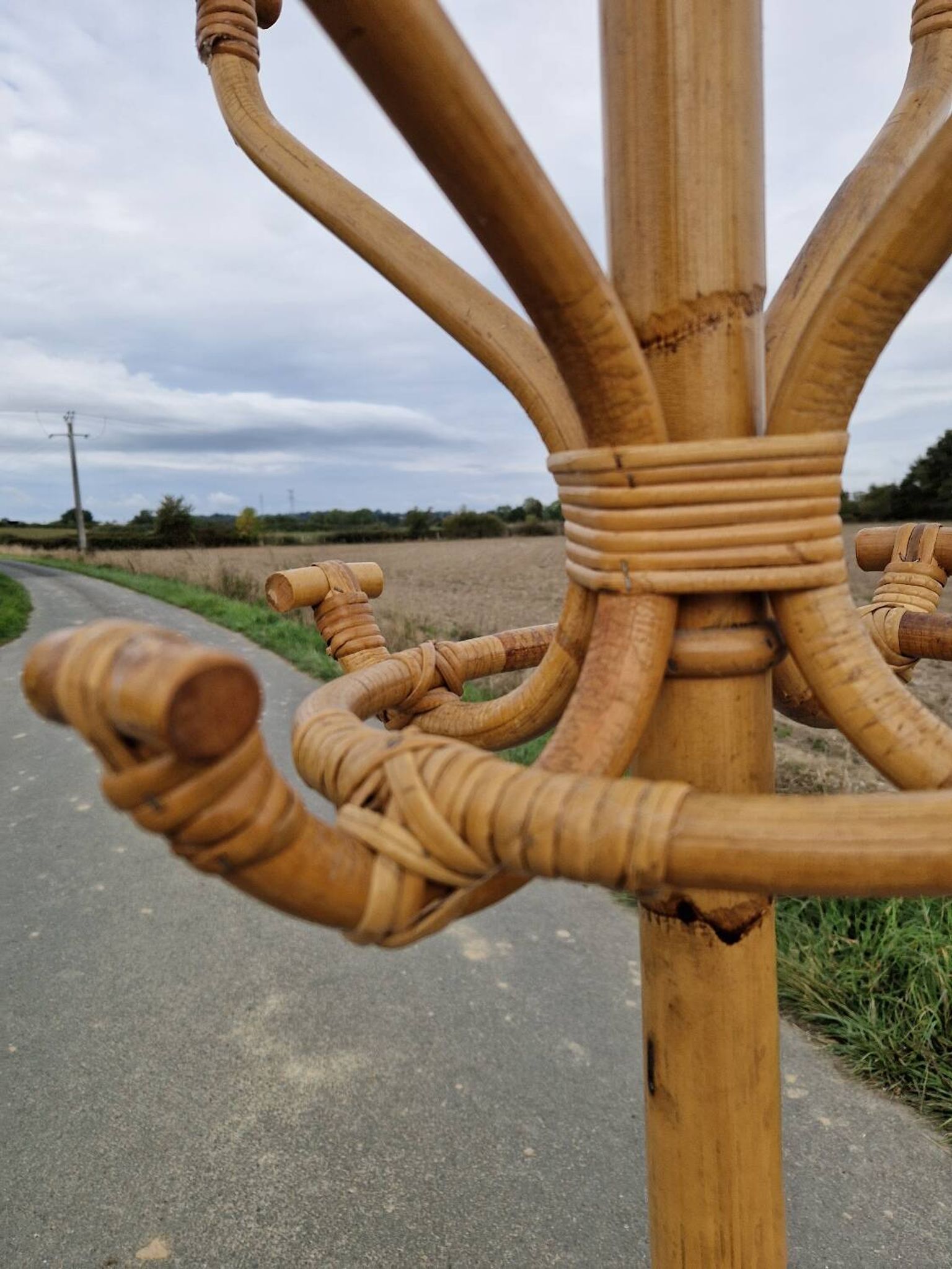 Vintage rattan parrot coat rack