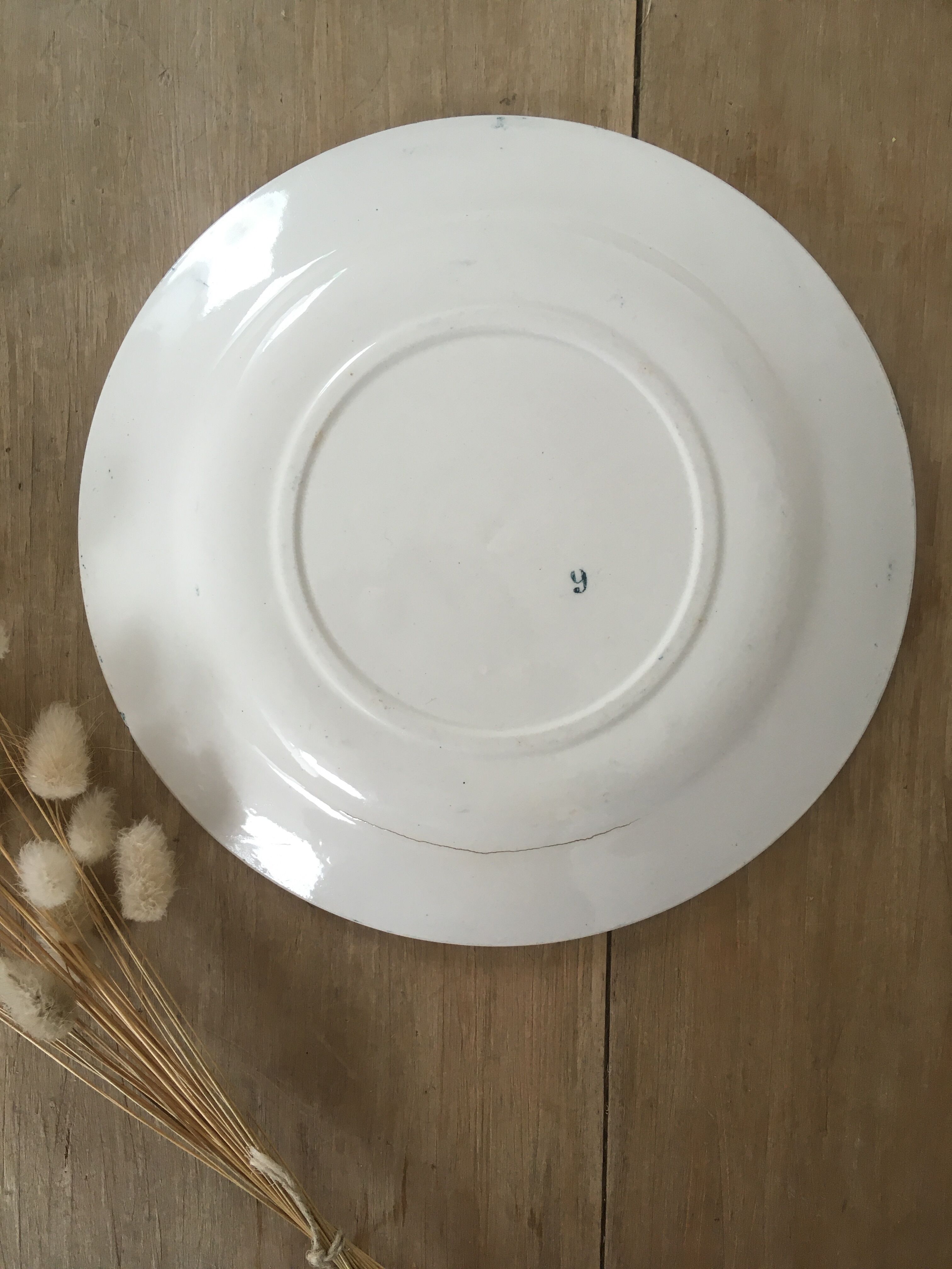 Lot 5 mismatched iron earth flat plates