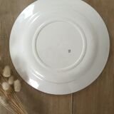 Lot 5 mismatched iron earth flat plates