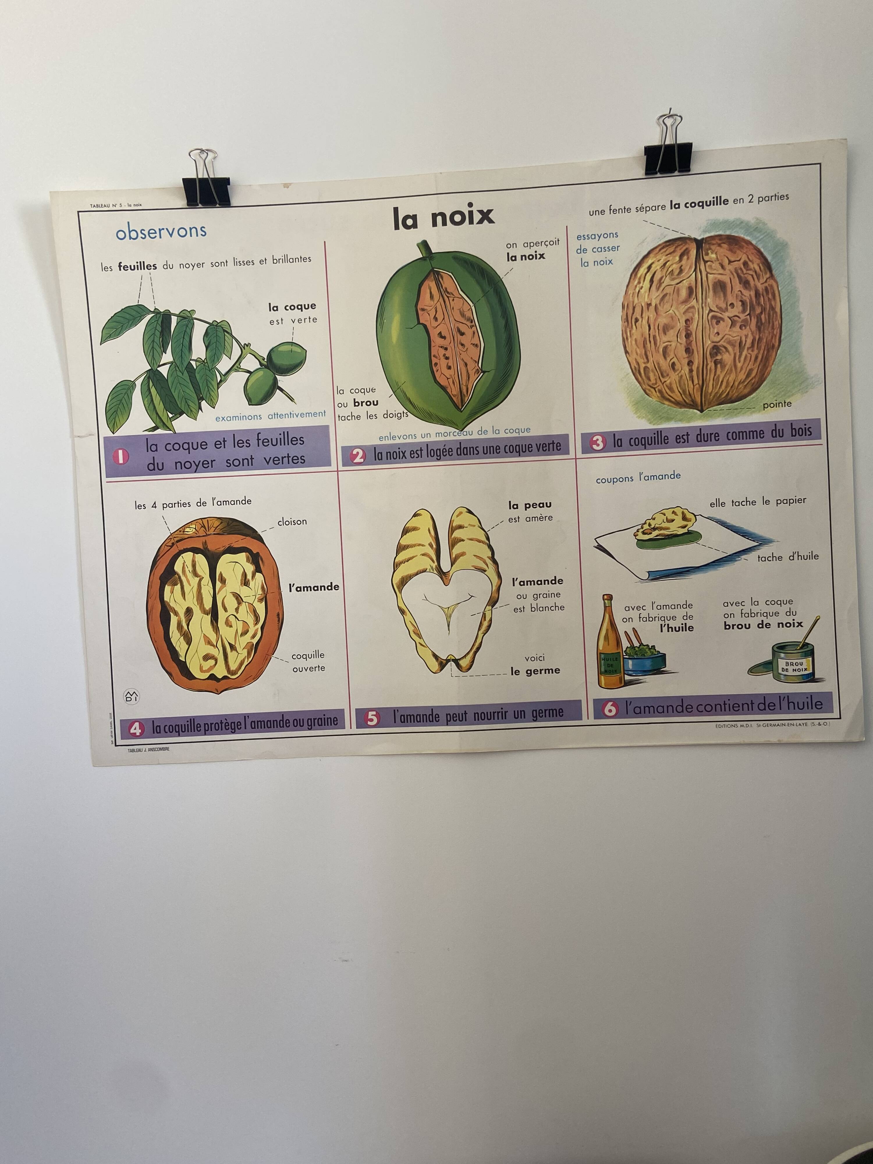 Vintage educational poster