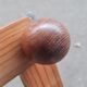 Porte manteau en bois accordéon 1970