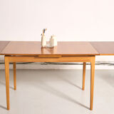 Vintage Scandinavian style dining table, side extensions