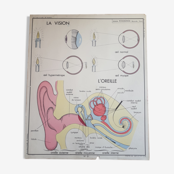 Vintage 2-sided school poster
