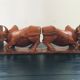 Pair of greenhouse buffalo books