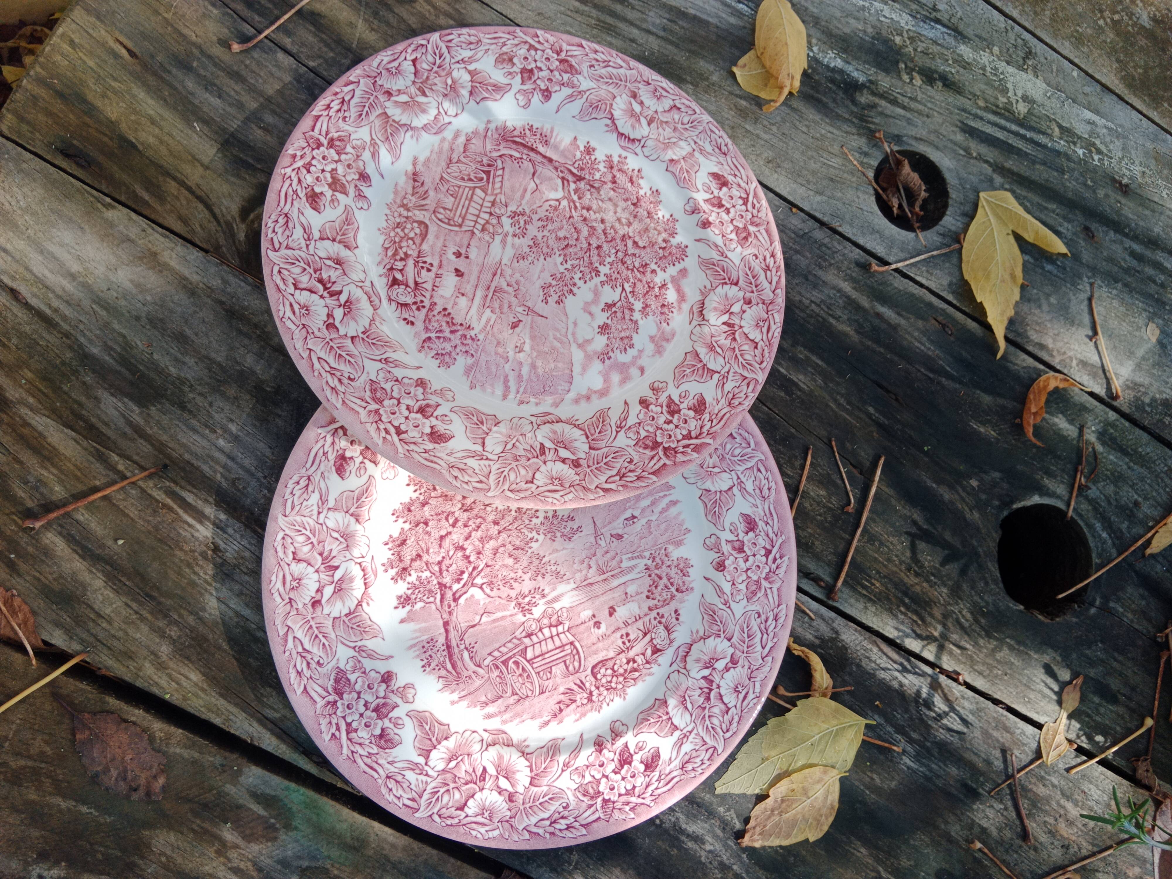 2 assiettes plates eit england
