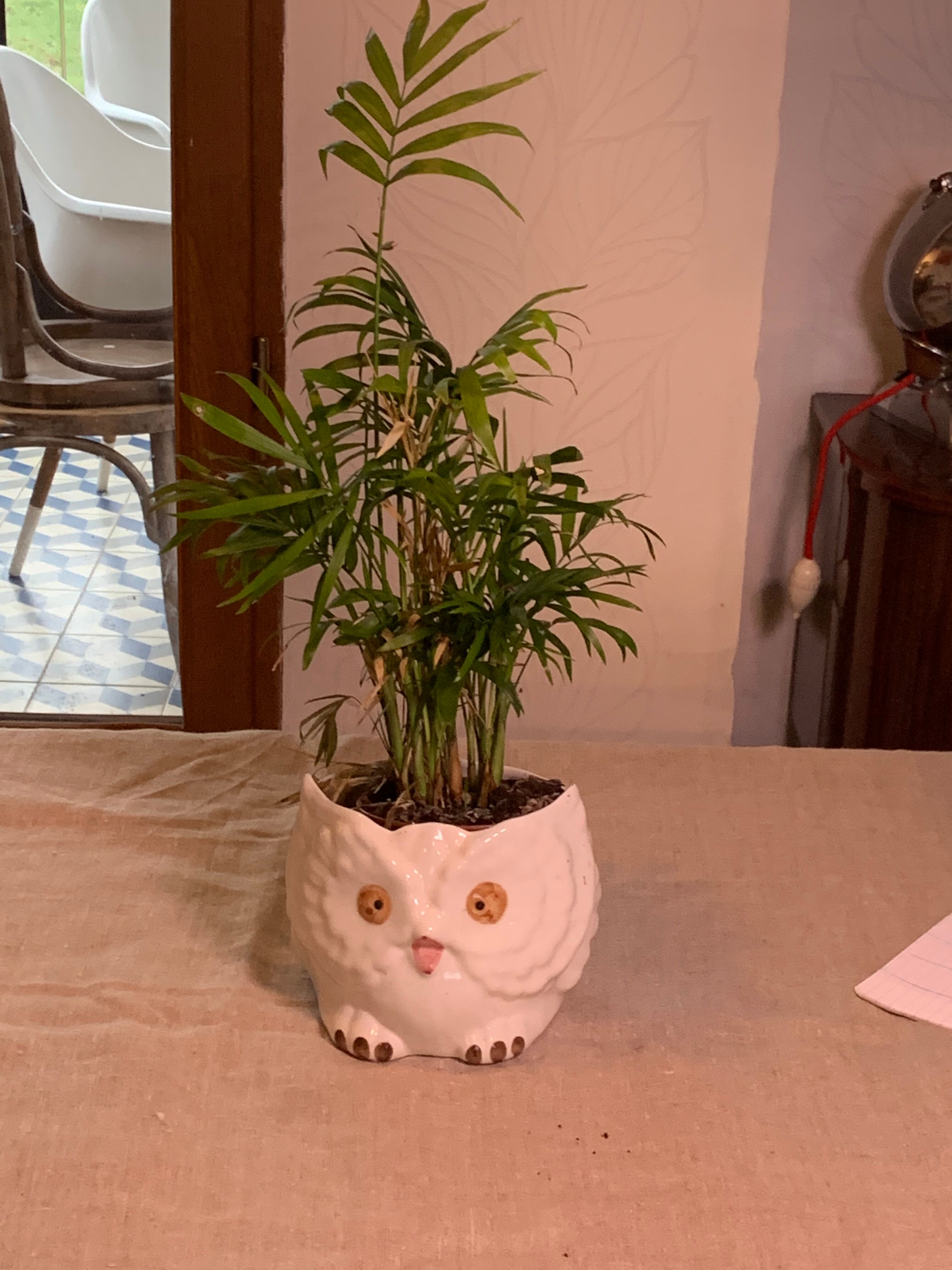 Cache pot owl glazed ceramic white slip earthenware siol Portugal