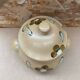 Old sarreguemines soup tureen nadege model ceramic beige vintage