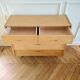 Renovated vintage shoe cabinet, 1960s