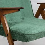 Fauteuil Green Bunny de Józef Chierowski années 1970