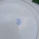 Large round antique Badonviller plate