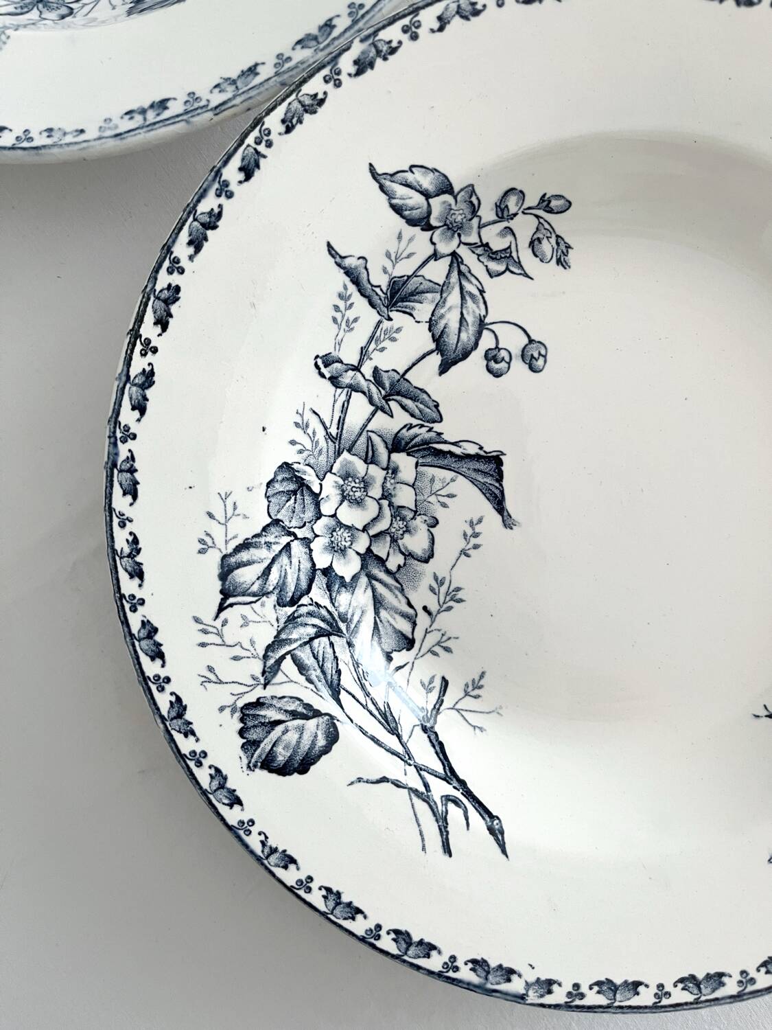 4 deep plates ironstone butterflies "Carmen" Sarreguemines