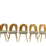 9 vintage designer dining chairs by Antonín Šuman for Tatra