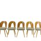 9 vintage designer dining chairs by Antonín Šuman for Tatra
