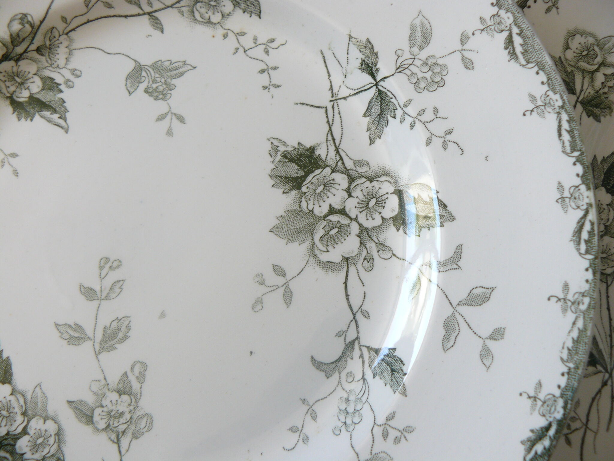 Lot of 6 plates flat "land of iron" model "rosette" st amand