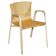 Cirene 03 office chair designed by Vico Magistretti for De Padova