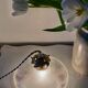 Suspension verre holophane