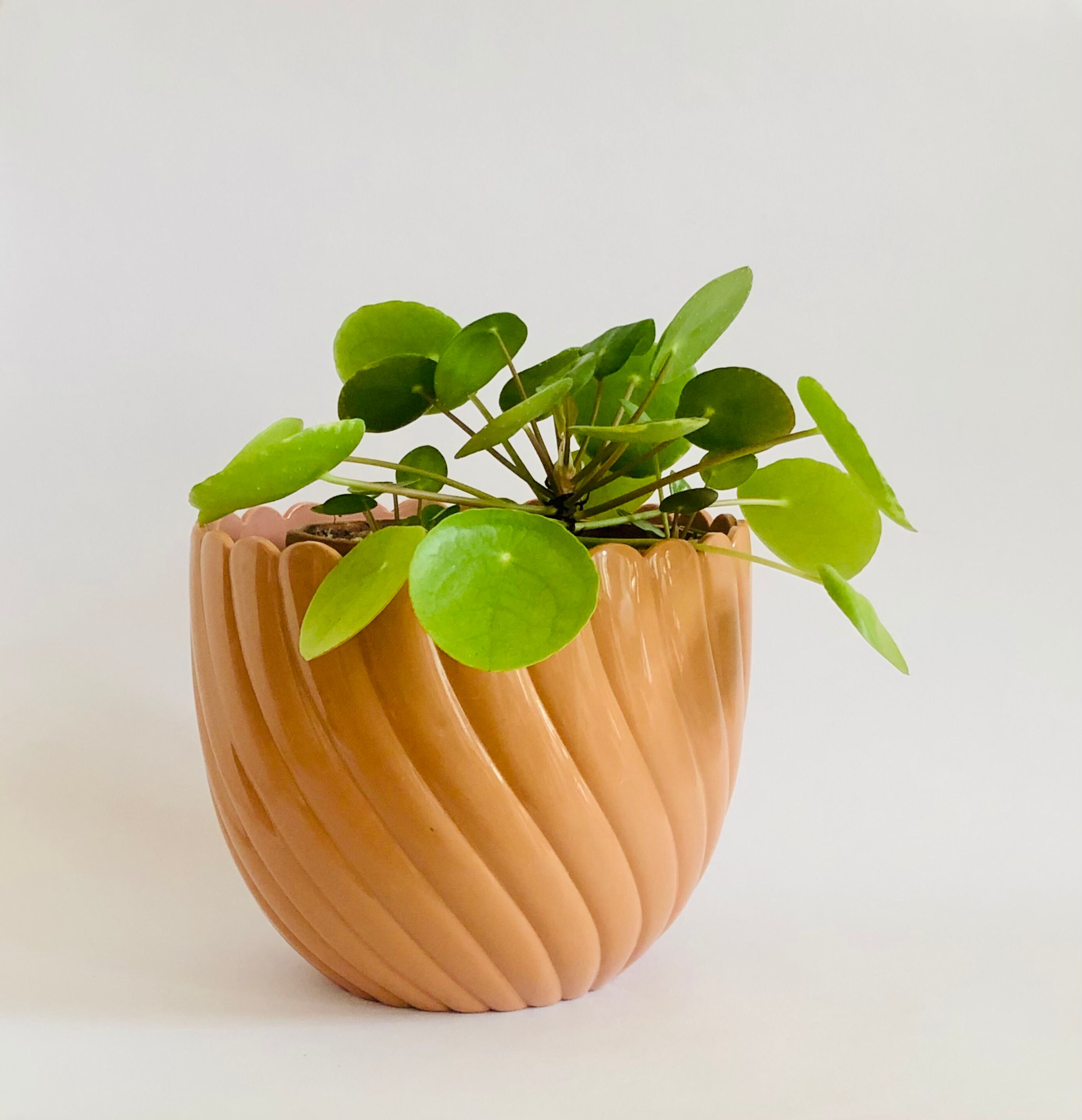 Vintage pot cover Emsa West Germany