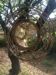 vintage rattan mirror