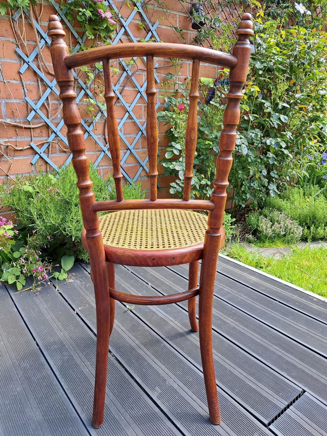 Set of 6 Fischel chairs in cane wood