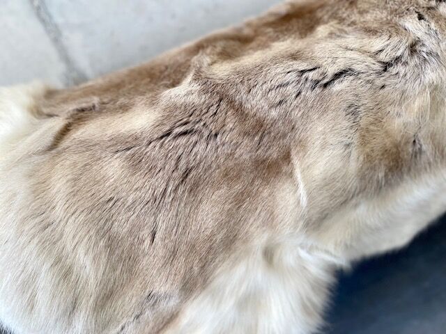 Sheepskin 140 x 106 cm