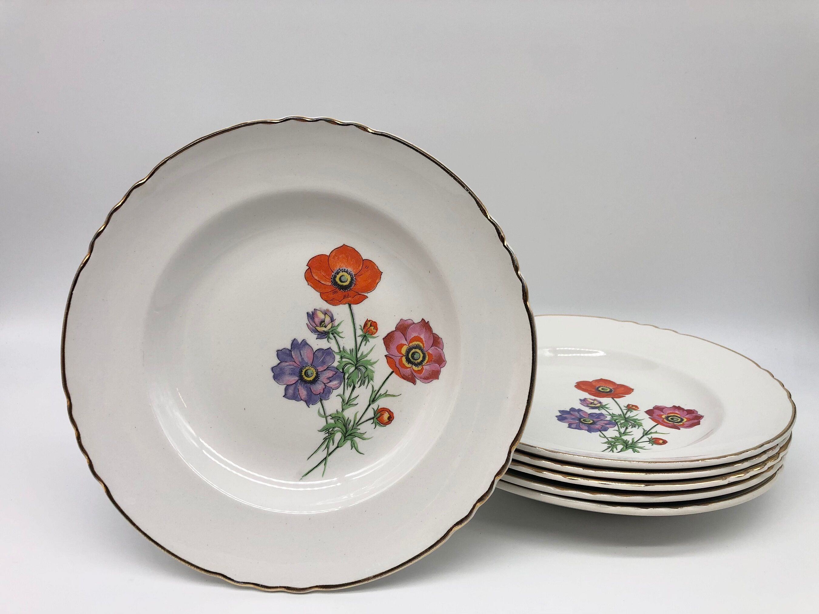 6 Hollow porcelain plates "Moulin des Loups" Beaulieu model