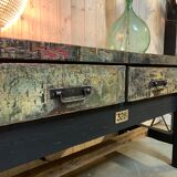 Ancient beech and oak establishment